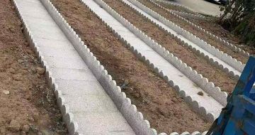 牡丹江芝麻白花边石